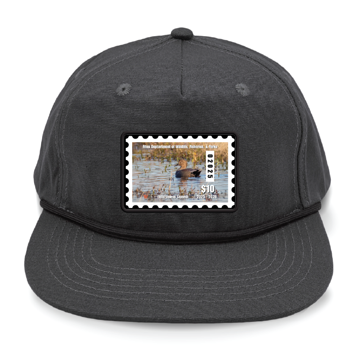 Hat: 2025 MS Duck Stamp Hat